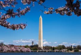 Washington DC
