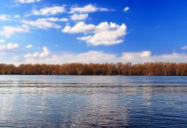 Moline 