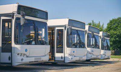 Bus