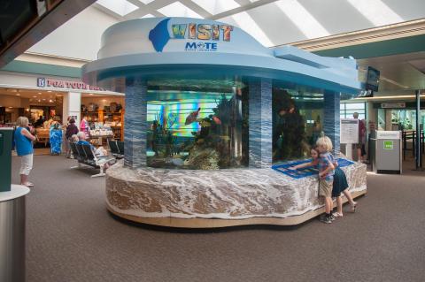 fish tank