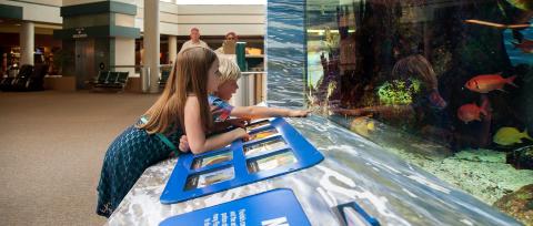 Kids lookat at MOTE tank